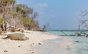 Soneva Jani Resort in Maldives